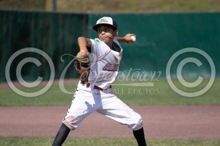My grandson playing in the Lil league world se
