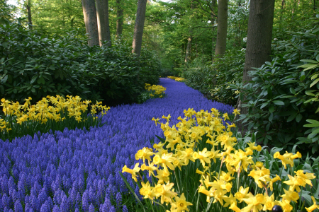 Keukenhof Tulip Gardens, Lisse, Netherlands