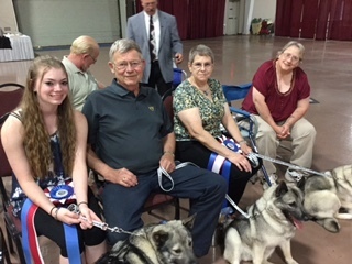 Norwegian Elkhound Nationals 2016