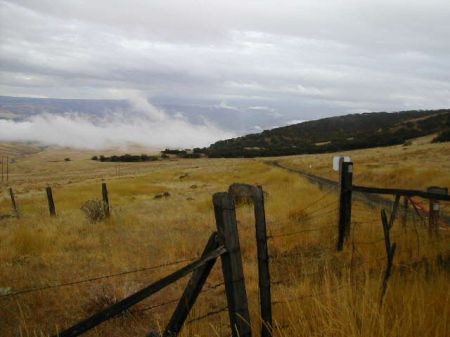 Fenceline on Sentinal Pk outside Goldendale WA