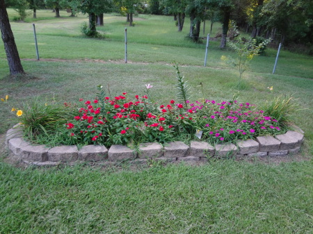 Vincas and lilly bed