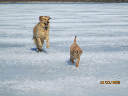 Bella and Remmi love the winter too