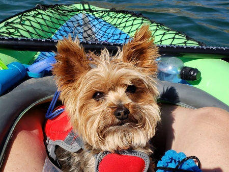Kayaking with Max