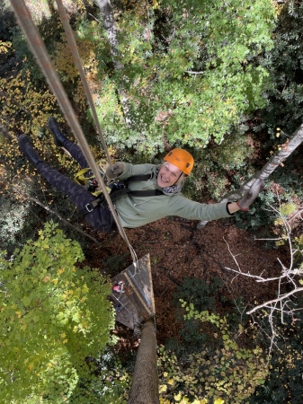 Rappelling Fun