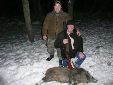 Poland hog hunt