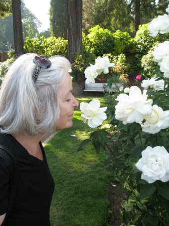 In the Portland Rose Gardens