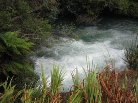 Hot Springs at Okiwari, NZ