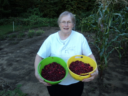 Eileen's Late Summer Raspberries