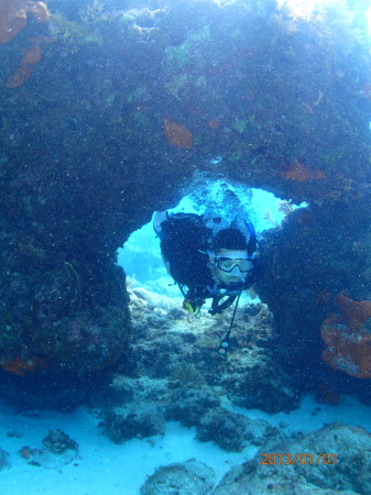 Diving Key Largo