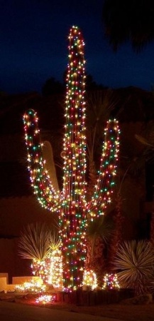 Az. Christmas Catus