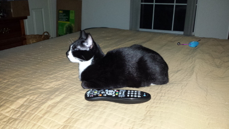 Dis My Remote