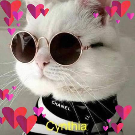 Cynthia Cartelli's Classmates® Profile Photo