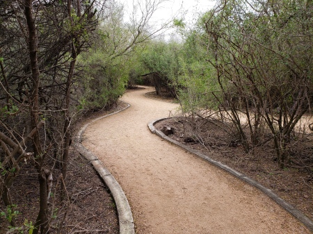 Mike Koehler's album, McAllen Nature Center