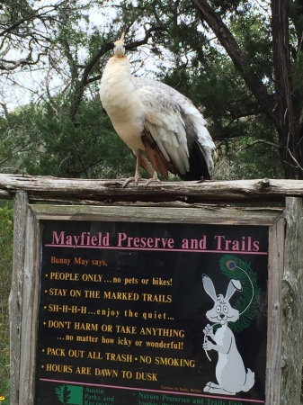 Mayfield Preserve and Trails 