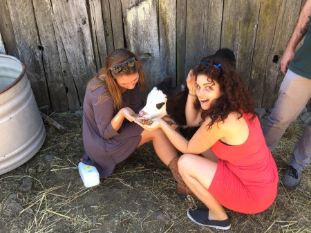Christi and Julia with Meadow the orphan calf