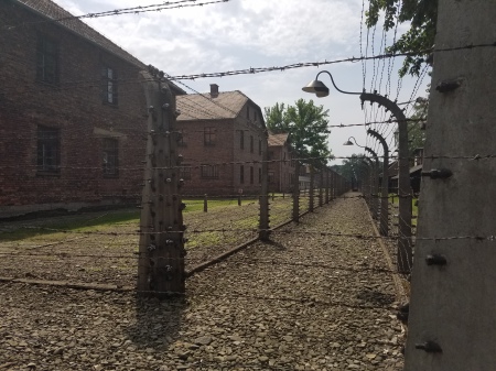 Auschwitz 2018