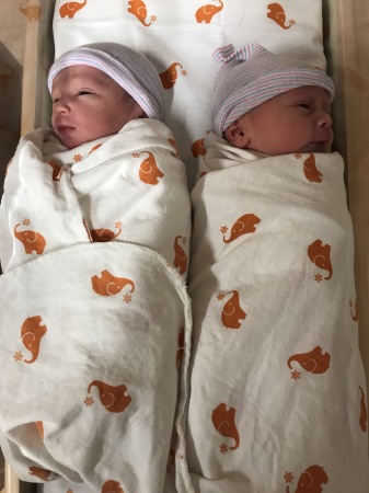 New Grandsons