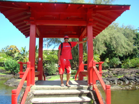 Liliuokalani Gardens, Hilo Hawaii