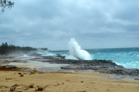 Weston Wishart's album, Key West & Bahamas