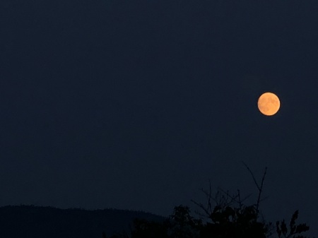 Burning Moon Festival, Barnet, VT 