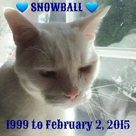 R.I.P. Snowball.