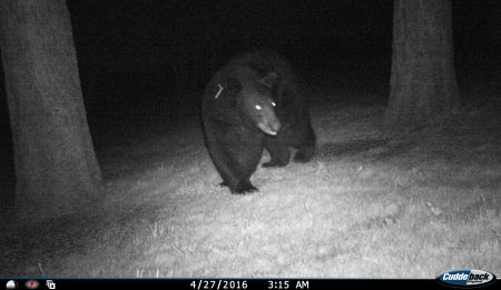 4/26/16 off my front porch