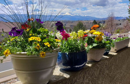 View of Pikes peak from our Veranda