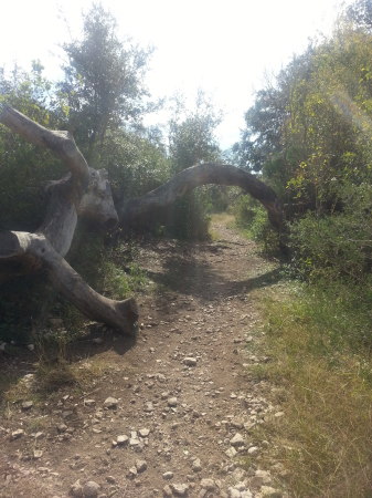 Government Canyon State Park