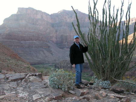 Grand Canyon