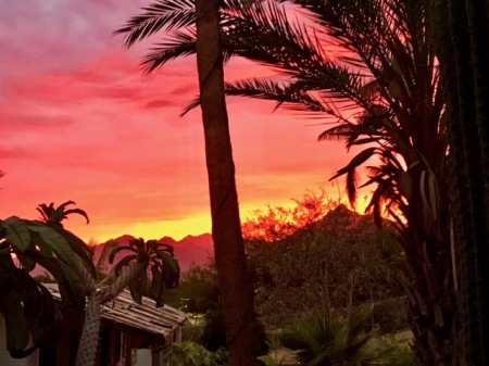Sunset in San José del Cabo