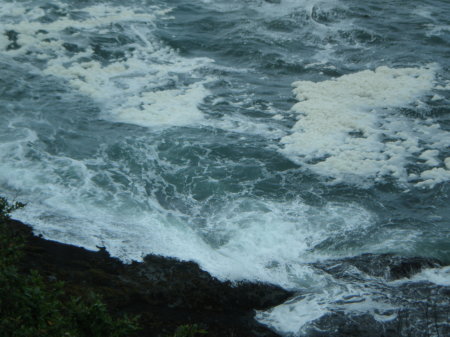 Patricia Seiders' album, 2011 Oregon coast