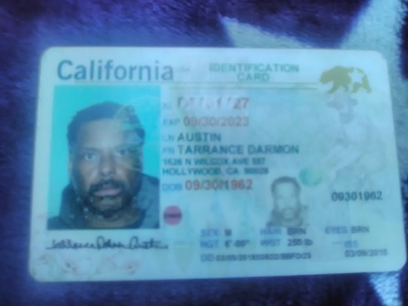 My Driver's License : D7701727 ( California)
