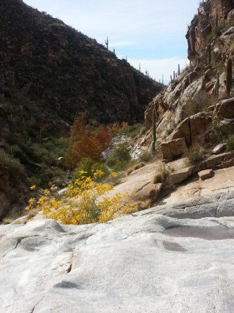 Calvin Lee's album, Sabino Canyon