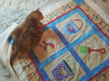 Holly and the beach quilt