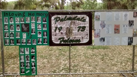 Debbie James' album, Palmstock Class Banners