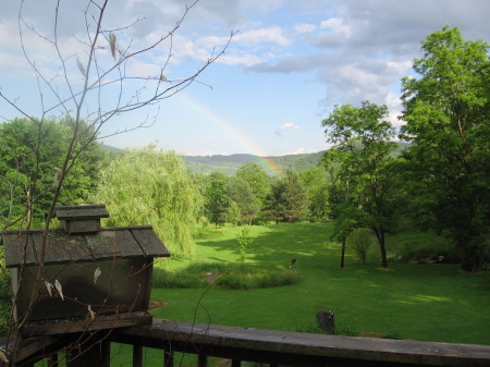 porch view LAST summer, can't wait !!!