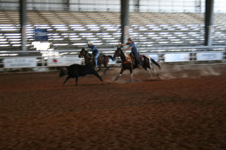 Team Roping