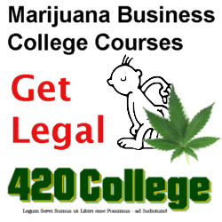 Cannabis College's Classmates® Profile Photo