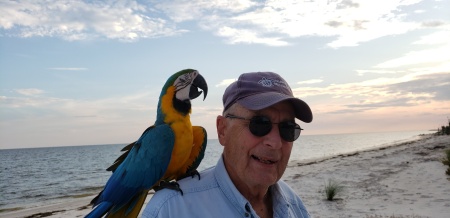 William Wargo's album, Alligator Point Sea Turtle Patrol 