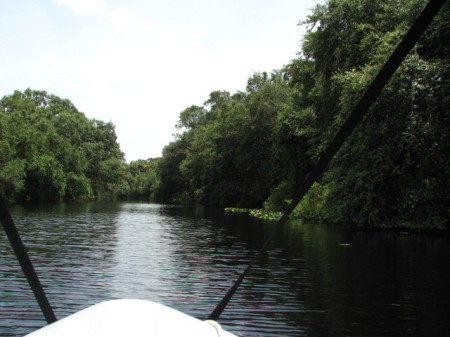 Tom Bridges' album, Kissimmee River July 21-29, 2013