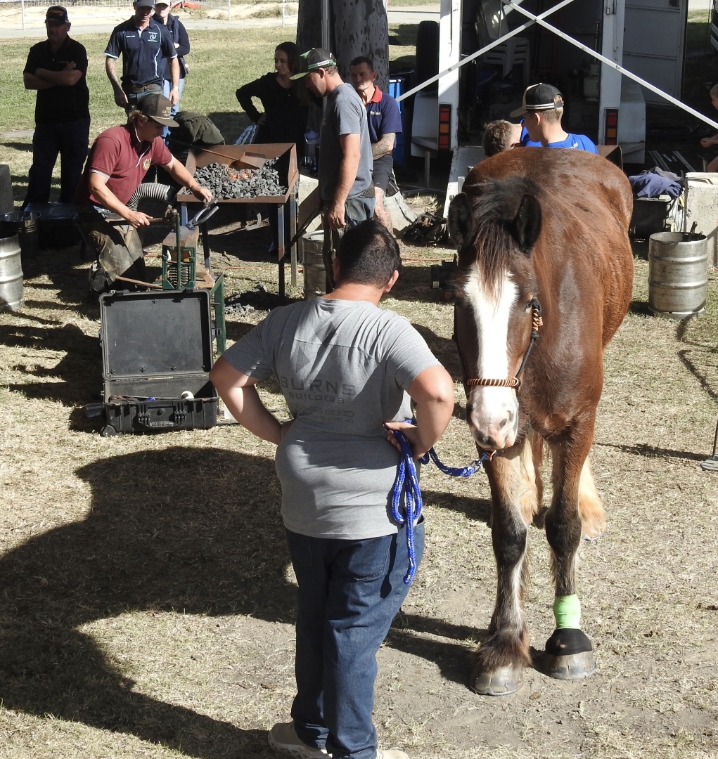 QLD FARRIERS compitition