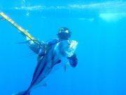 Morro Negrito Spearfishing's Classmates® Profile Photo