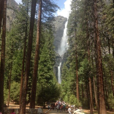 Gilbert McLeod's album, Yosemite