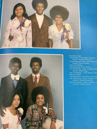 Yolanda Golightly Lee's Classmates profile album