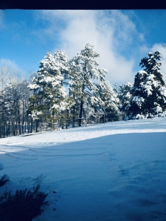 Snow covering front pasture 