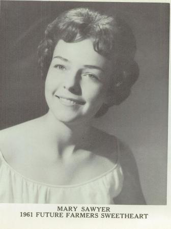 Mary Sawyer's Classmates profile album