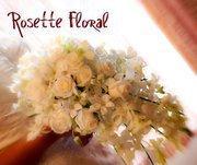 Rosette Floral's Classmates® Profile Photo