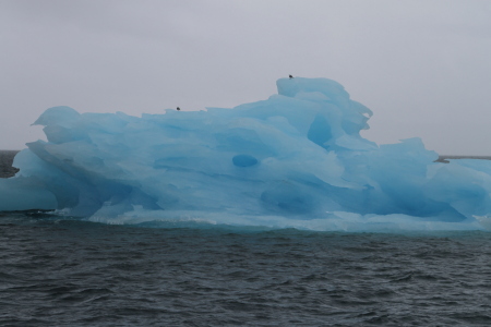 Glacier cruise from a few years ago