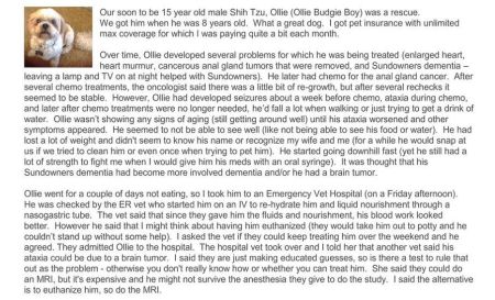 Ollie's Medical Problems - page-1