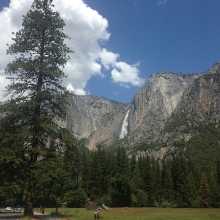 Gilbert McLeod's album, Yosemite